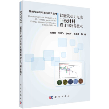 储能及动力电池正极材料设计与制备技术 下载