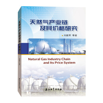 天然气产业链及其价格研究 [Natural Gas Industry Chain and Its Price System] 下载