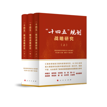 “十四五”规划战略研究（上、中、下册） 下载