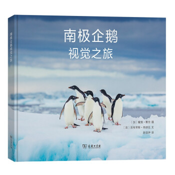 南极企鹅视觉之旅