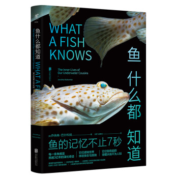 鱼什么都知道 [WHAT A FISH KNOWS] 下载