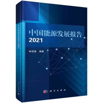 中国能源发展报告2021 下载