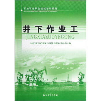 石油石化职业技能培训教程：井下作业工 下载