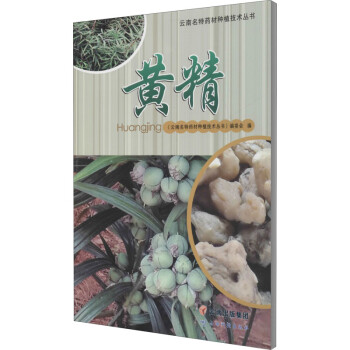 云南名特药材种植技术丛书:黄精 下载