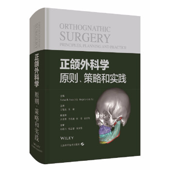 正颌外科学：原则、策略和实践 下载