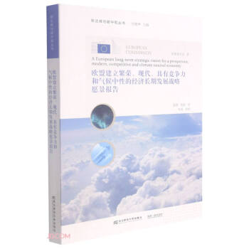 欧盟建立繁荣现代具有竞争力和气候中性的经济长期发展战略愿景报告/碳达峰与碳中和丛书 下载