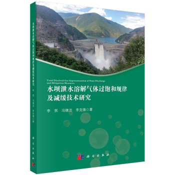 水坝泄水溶解气体过饱和规律及减缓技术研究 下载