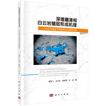 深埋藏滩相白云岩储层形成机理：以川中地区下寒武统龙王庙组为例 [Reservoir Forming-Mechanism of Deep Burial Dolomite Within Shoal Facies: A Case from Lower Cambrian Longwangmiao Formation,Middle Sichuan Basin,SW China] 下载