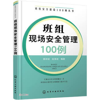 班组安全建设100例丛书--班组现场安全管理100例 下载