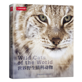 世界野生猫科动物 下载