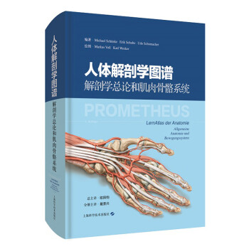 人体解剖学图谱：解剖学总论和肌肉骨骼系统 下载