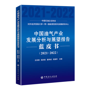 中国油气产业发展分析与展望报告蓝皮书（2021-2022） 下载