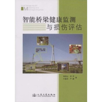 智能桥梁健康监测与损伤评估 [Smart bridge health monitoring and damage diagnosis] 下载