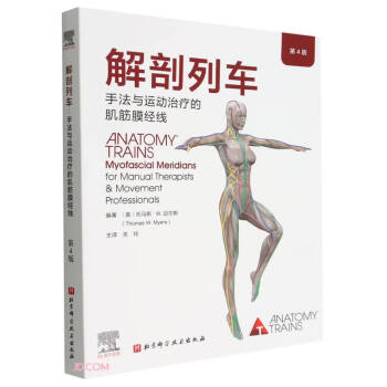 解剖列车:手法与运动治疗的肌筋膜经线（第4版） 下载