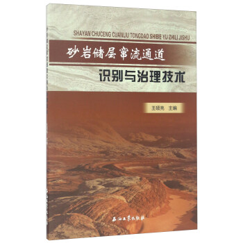 砂岩储层窜流通道识别与治理技术 下载