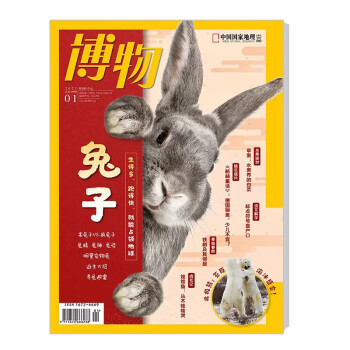 博物 2023年1月号 本期主题:兔子 中国国家地理青春少年版 博物君式科普百科期刊 下载