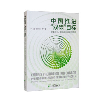 中国推进“双碳”目标：效率评价、影响机制与实现路径 下载