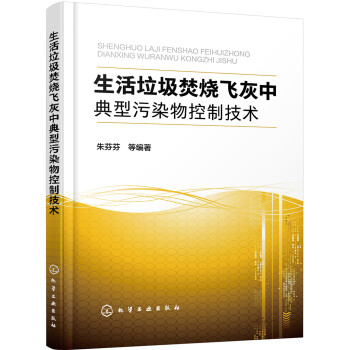 生活垃圾焚烧飞灰中典型污染物控制技术 下载