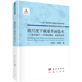 微尺度下碳基界面盐水——水合离子-π作用的理论、实验和应用 下载