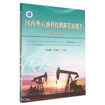 国内外石油科技创新发展报告(2021) 下载