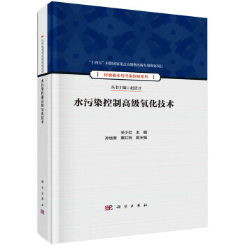 水污染控制高级氧化技术 下载