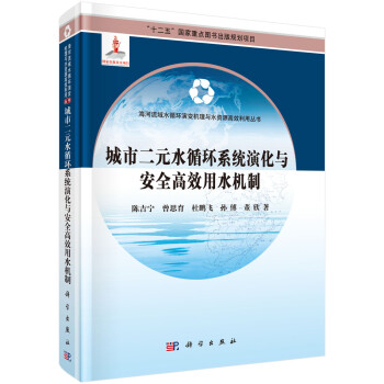 城市二元水循环系统演化与安全高效用水机制 下载