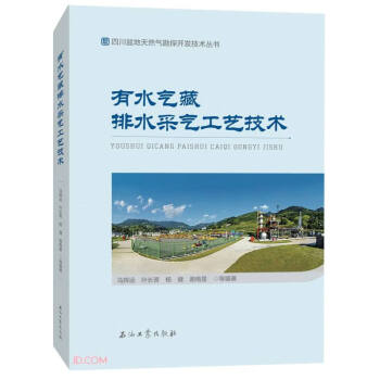 有水气藏排水采气工艺技术/四川盆地天然气勘探开发技术丛书