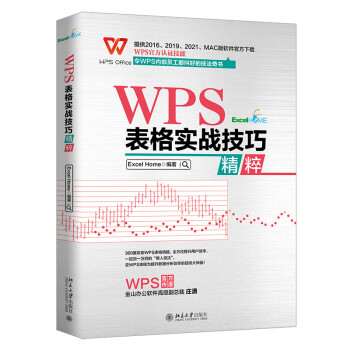 WPS表格实战技巧精粹 WPS官方认证 ExcelHome出品 全彩高效办公书 下载