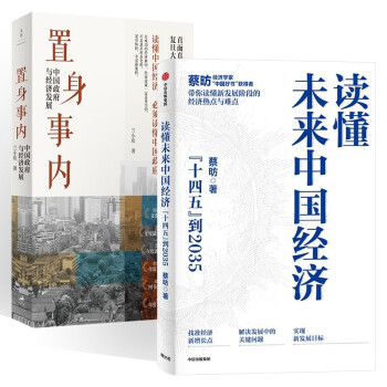 中国经济两册 置身事内（兰小欢）+读懂未来中国经济 下载