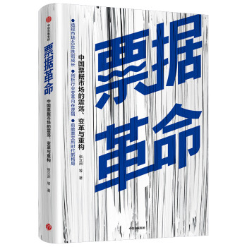 票据革命 中国票据市场的震荡、变革与重构 中信出版社