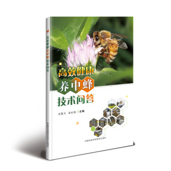 高效健康养中蜂技术问答 下载