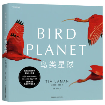 鸟类星球：摄影之旅 [bird planet]