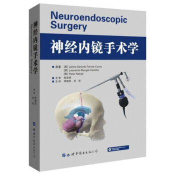 神经内镜手术学 下载