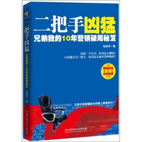 二把手凶猛：兄弟我的10年营销破局秘笈 下载