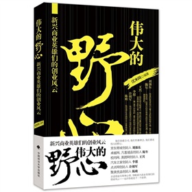 伟大的野心：新兴商业英雄们的创业风云 下载