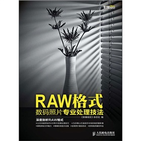 RAW格式数码照片专业处理技法 下载