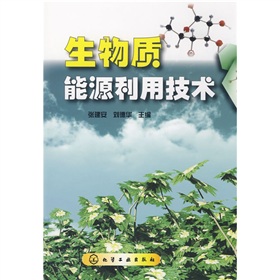 生物质能源利用技术