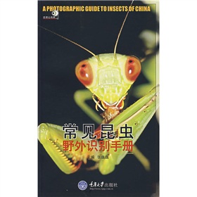 好奇心书系：常见昆虫野外识别手册