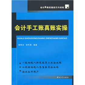 会计真账实操技巧与训练：会计手工账实操