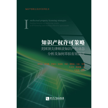 知识产权许可策略：美国顶尖律师谈知识产权动态分析及如何草拟有效协议 下载