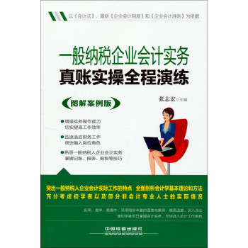 一般纳税企业会计实务真账实操全程演练（图解案例版） 下载