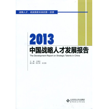 2013中国战略人才发展报告 下载
