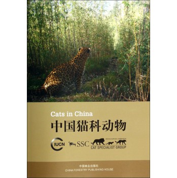 中国猫科动物 下载
