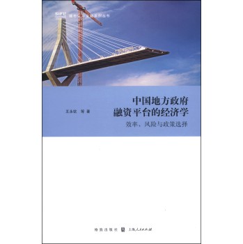 中国地方政府融资平台的经济学：效率、风险与政策选择