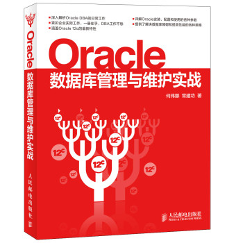 Oracle数据库管理与维护实战 下载