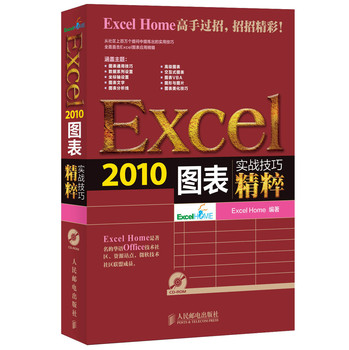 实战技巧精粹：Excel2010图表（含光盘）