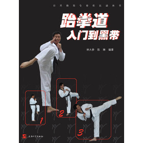 公共体育专业化运动丛书：跆拳道入门到黑带 下载