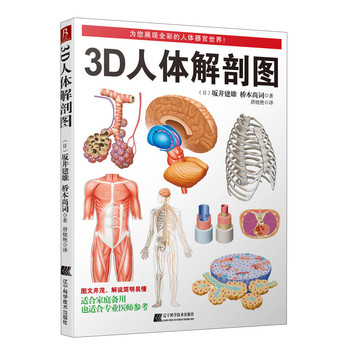 3D人体解剖图 下载