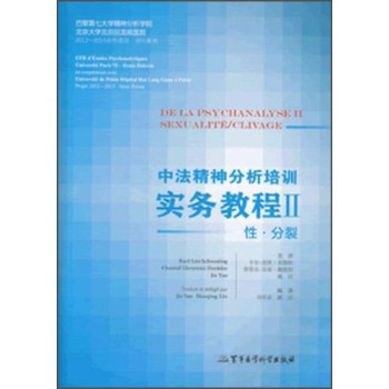 中法精神分析培训实务教程2：性·分裂 下载