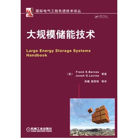 国际电气工程先进技术译丛：大规模储能技术